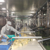 Ligne de production d'ananas