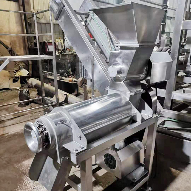 Usine de transformation de gingembre