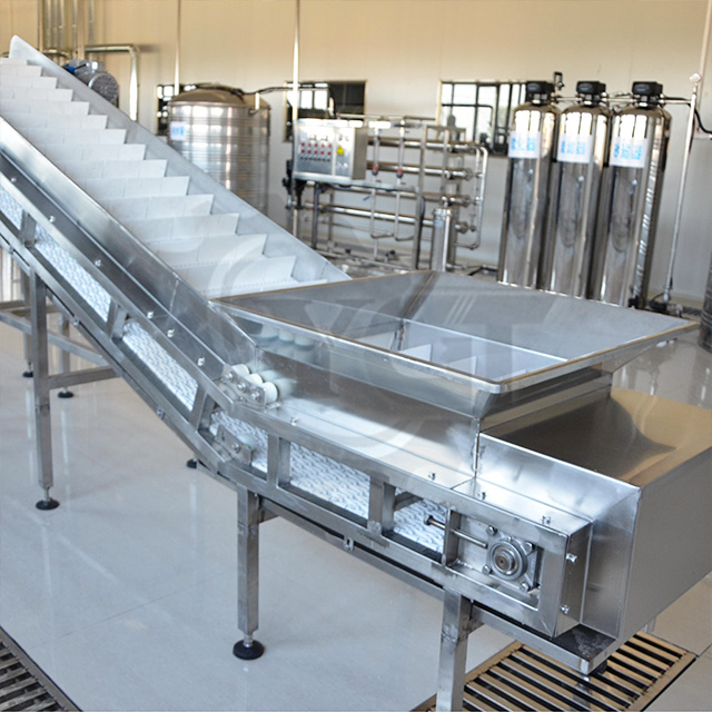 Ligne de production d'ananas