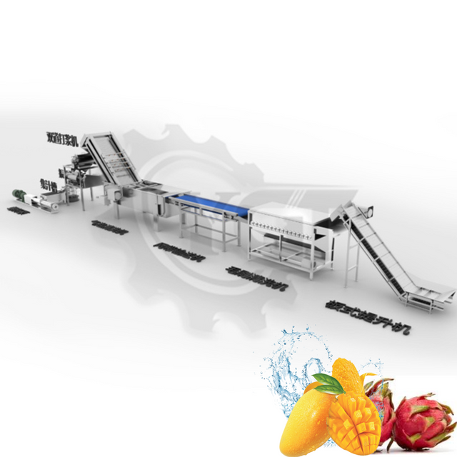 Ligne de production de mangue