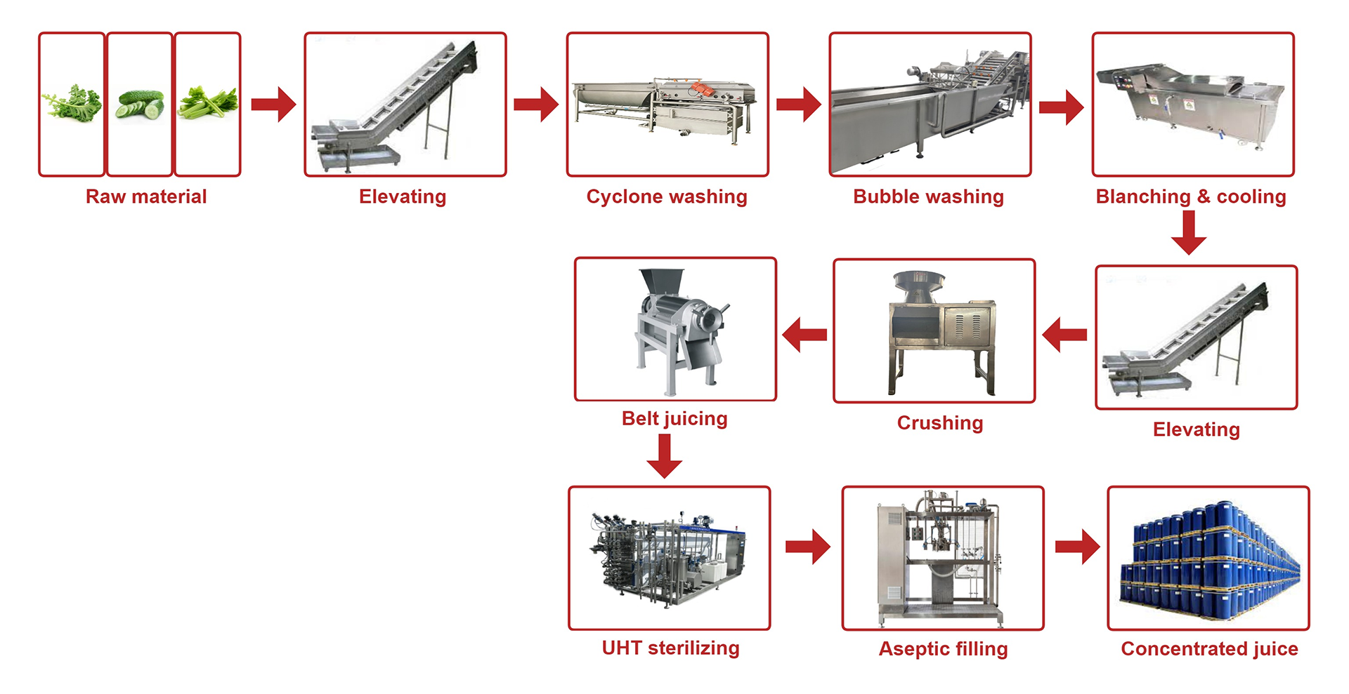 Processus de l'usine de transformation de légumes YGT