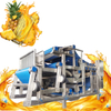 Ligne de traitement de l'ananas