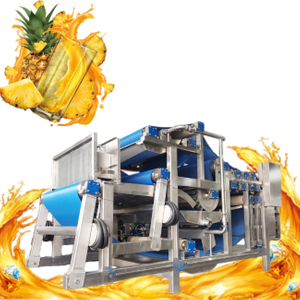 Ligne de traitement de l'ananas