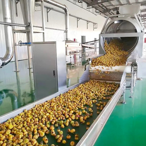 Usine de production de gingembre