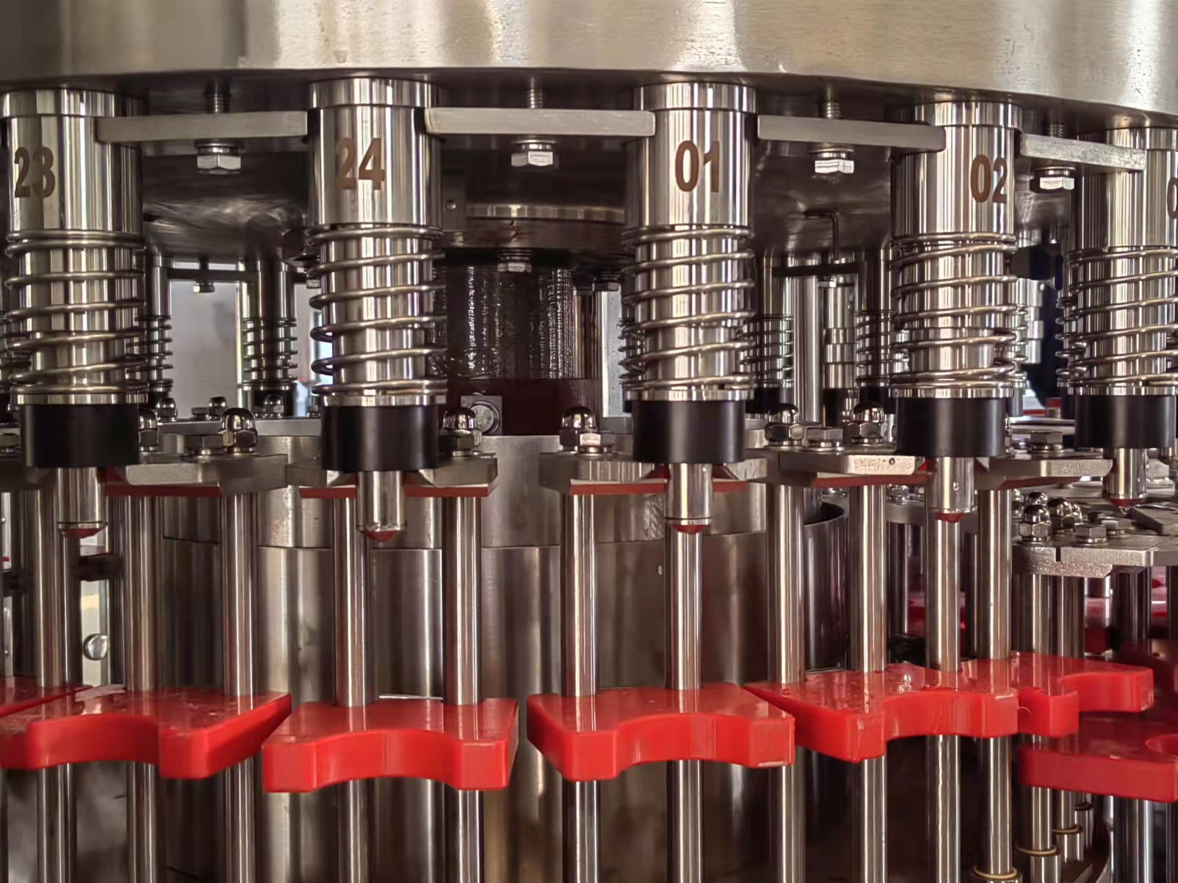 Processus de boisations à thé Plant005 